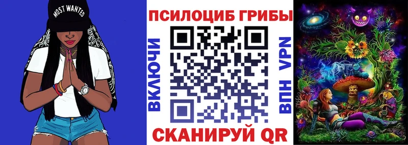KRAKEN ССЫЛКА  Биробиджан  Псилоцибиновые грибы ЛСД  купить  сайты 